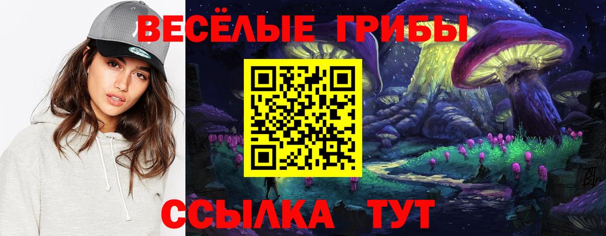 Черняховск  Псилоцибиновые грибы прущие грибы  Вход с VPN  Галлюциногенные грибы мухоморы 